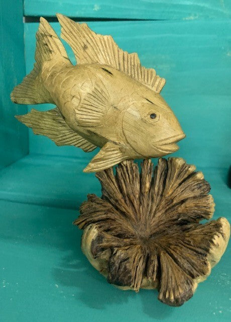 fish - on burl - 12cm