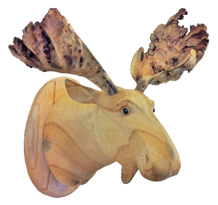 moose head - burl antlers - large - plaque for wall