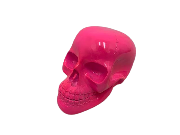 skull - lg - hot pink - 12cmHx18cmLx11cmW - resin