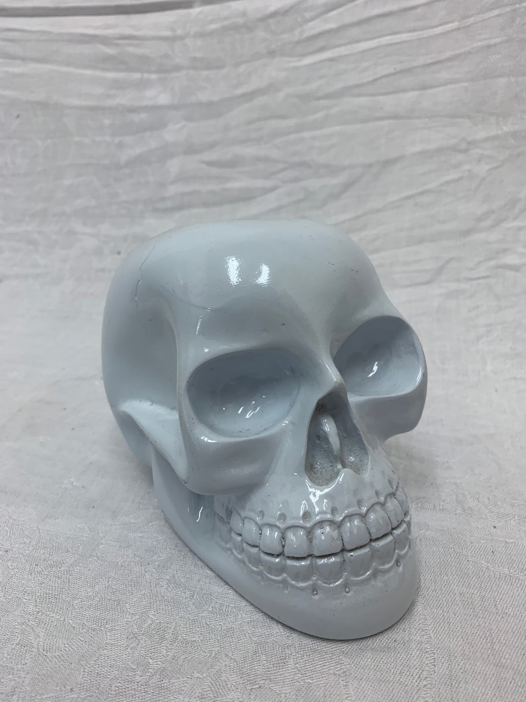 skull - sm - white - 7cmHx13cmLx8cmW - resin