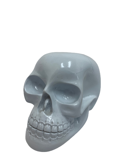 skull - lg - white - 12cmHx18cmLx11cmW - resin